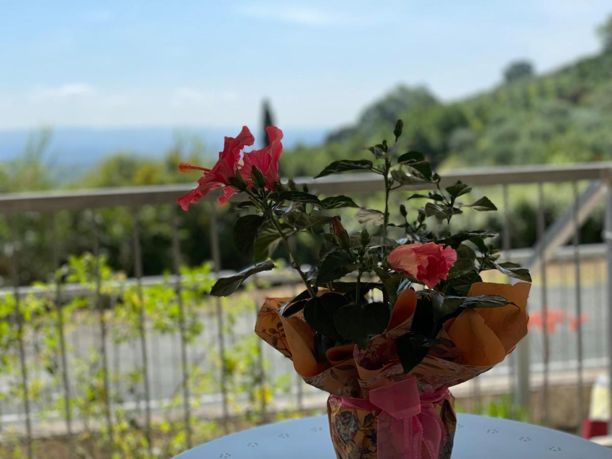 A Casa Di Silvia Apartment Gambassi Terme Ngoại thất bức ảnh
