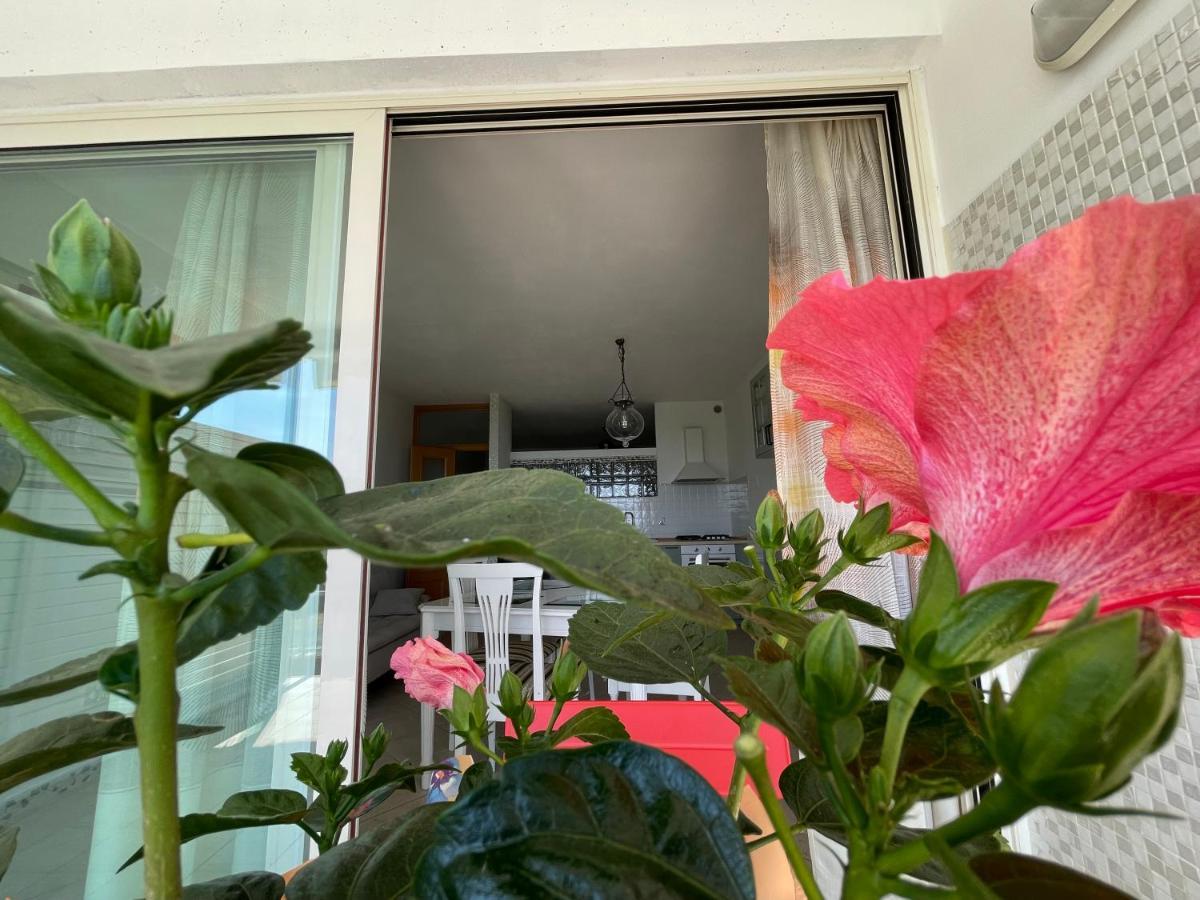 A Casa Di Silvia Apartment Gambassi Terme Ngoại thất bức ảnh