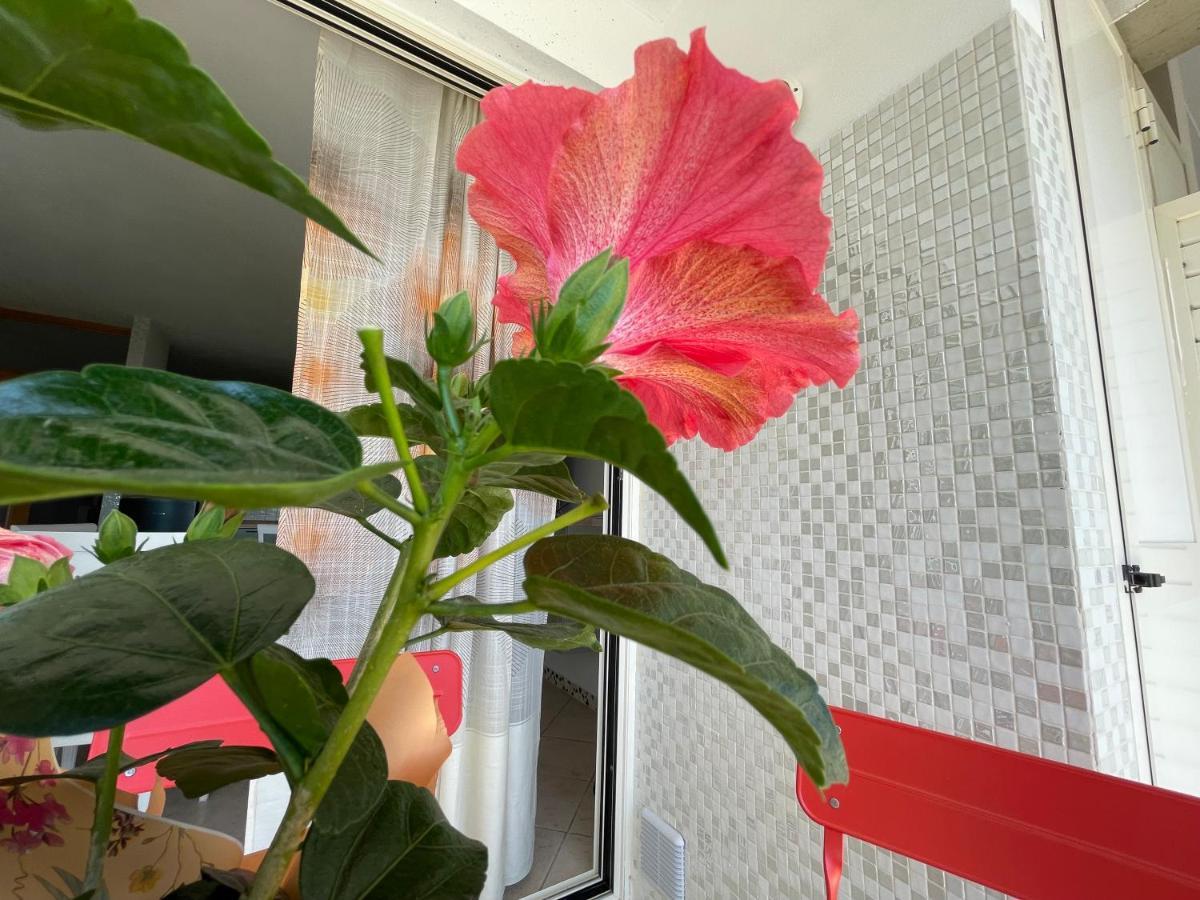 A Casa Di Silvia Apartment Gambassi Terme Ngoại thất bức ảnh